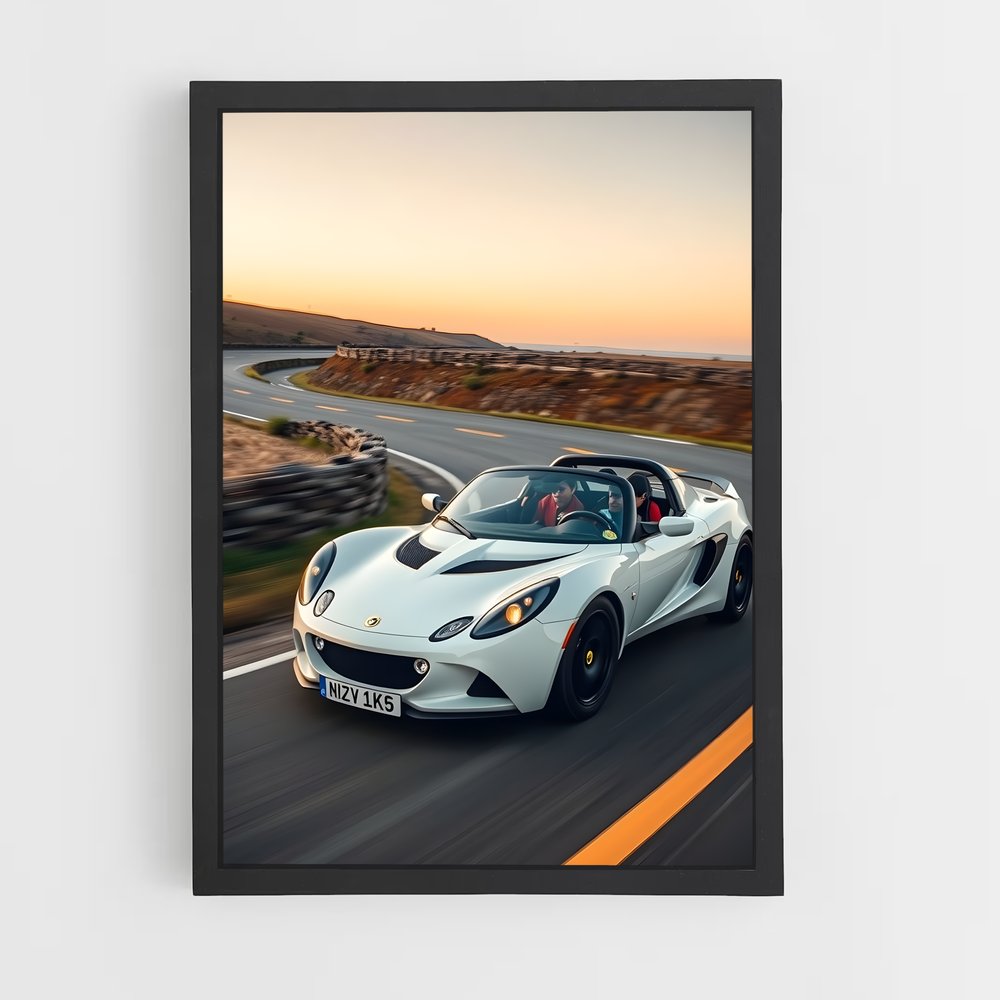 Poster Lotus Spirit (vue 2)